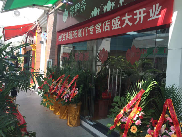 圖片8
